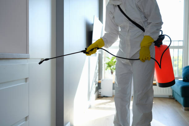 Why You Should Choose Our Mold Remediation Services in Ocean Pointe, HI